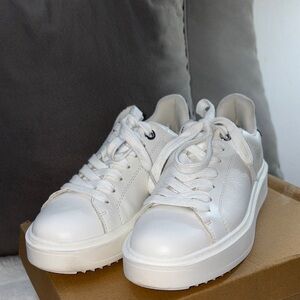 Steve Madden White Sneakers